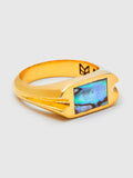 Danny Signet Ring in 14K Gold/Abalone Shell