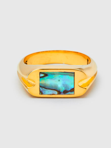 Danny Signet Ring in 14K Gold/Abalone Shell