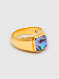 Duppy Signet Ring in Gold/Abalone Shell