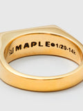 Prism Ring in Gold/Resin