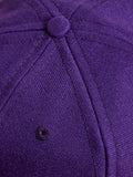 Blue Owl Baseball Cap in Purple
