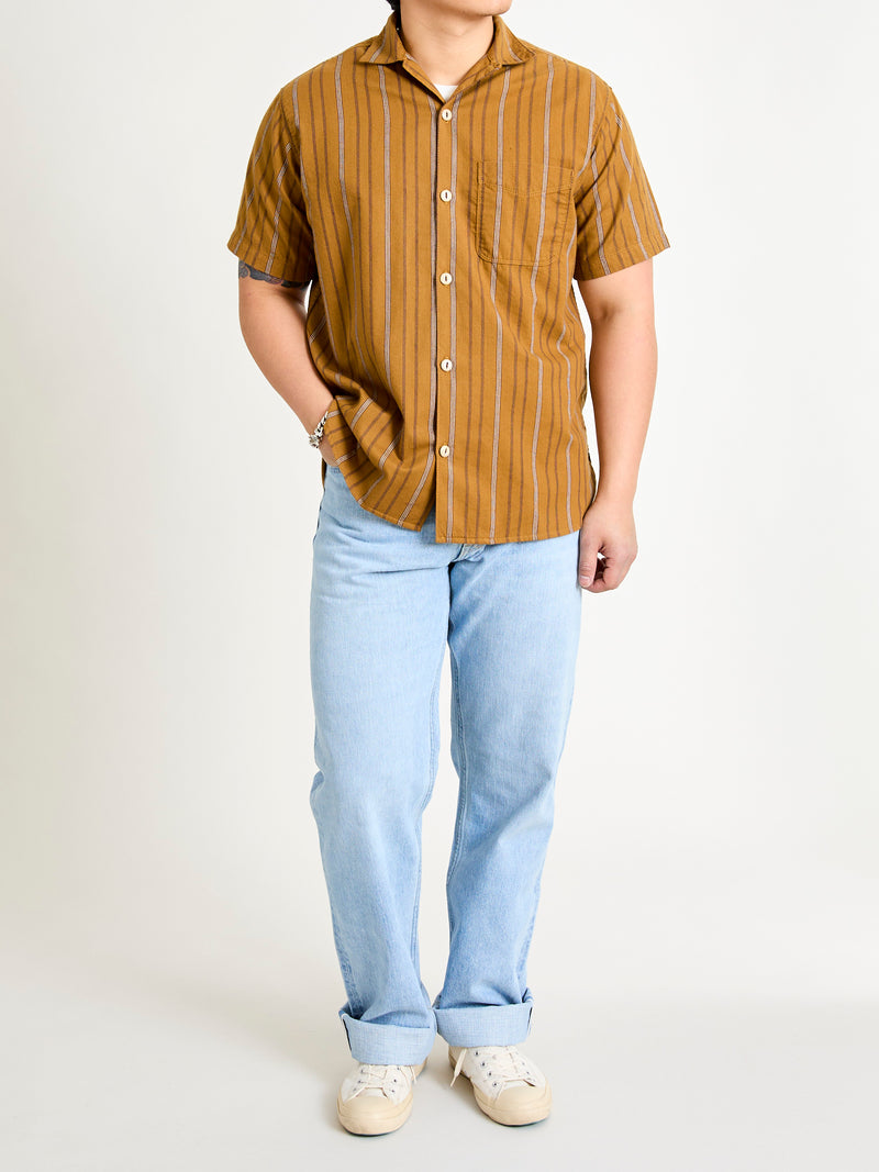 Hawaiian Button-Up Shirt in Lantern Stripe