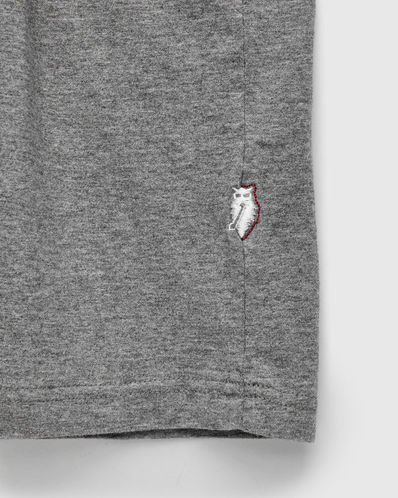 "Moonrock" Jersey Slub T-Shirt in Heather Grey