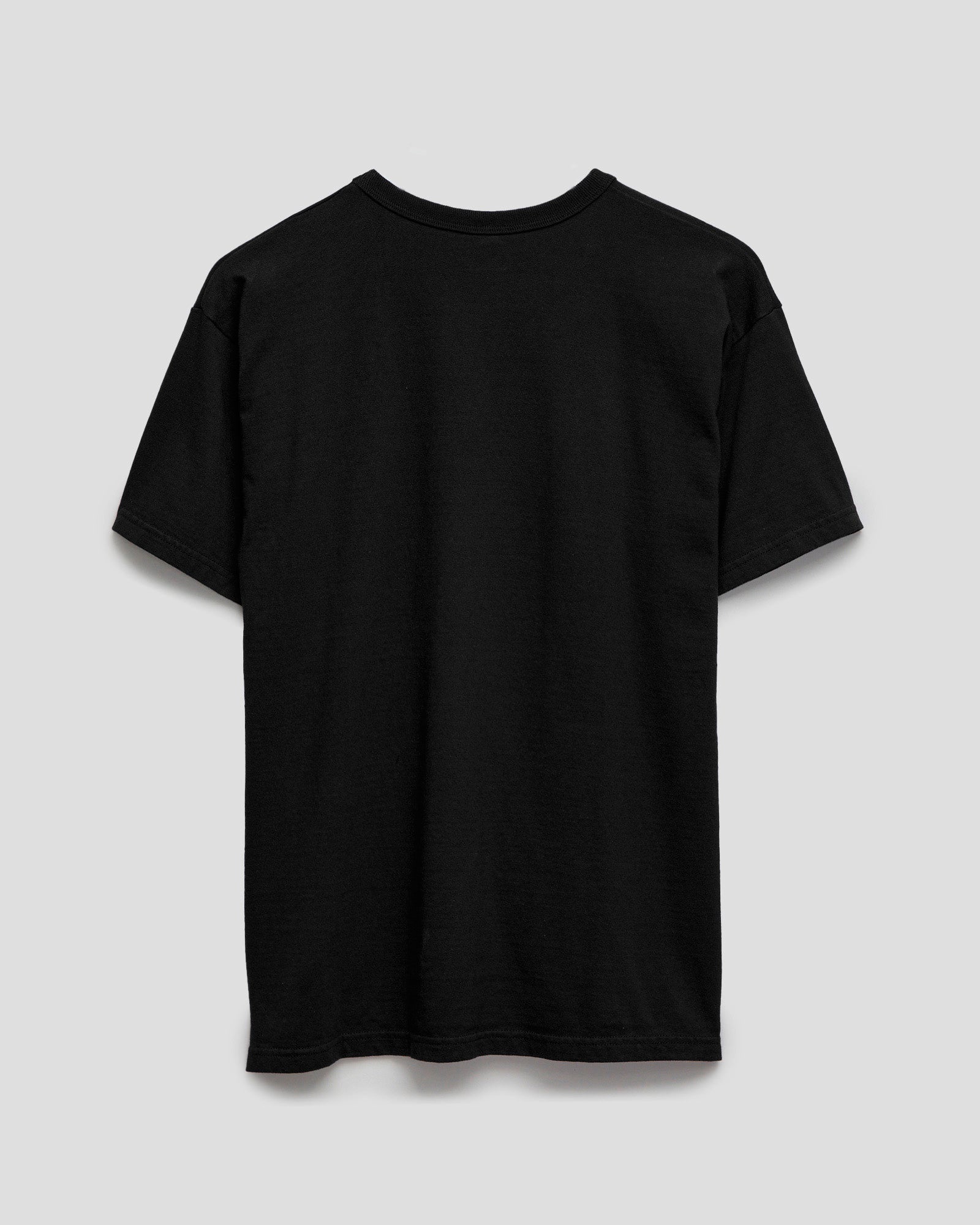 Heavyweight Solid T-Shirt in Black – Blue Owl Workshop