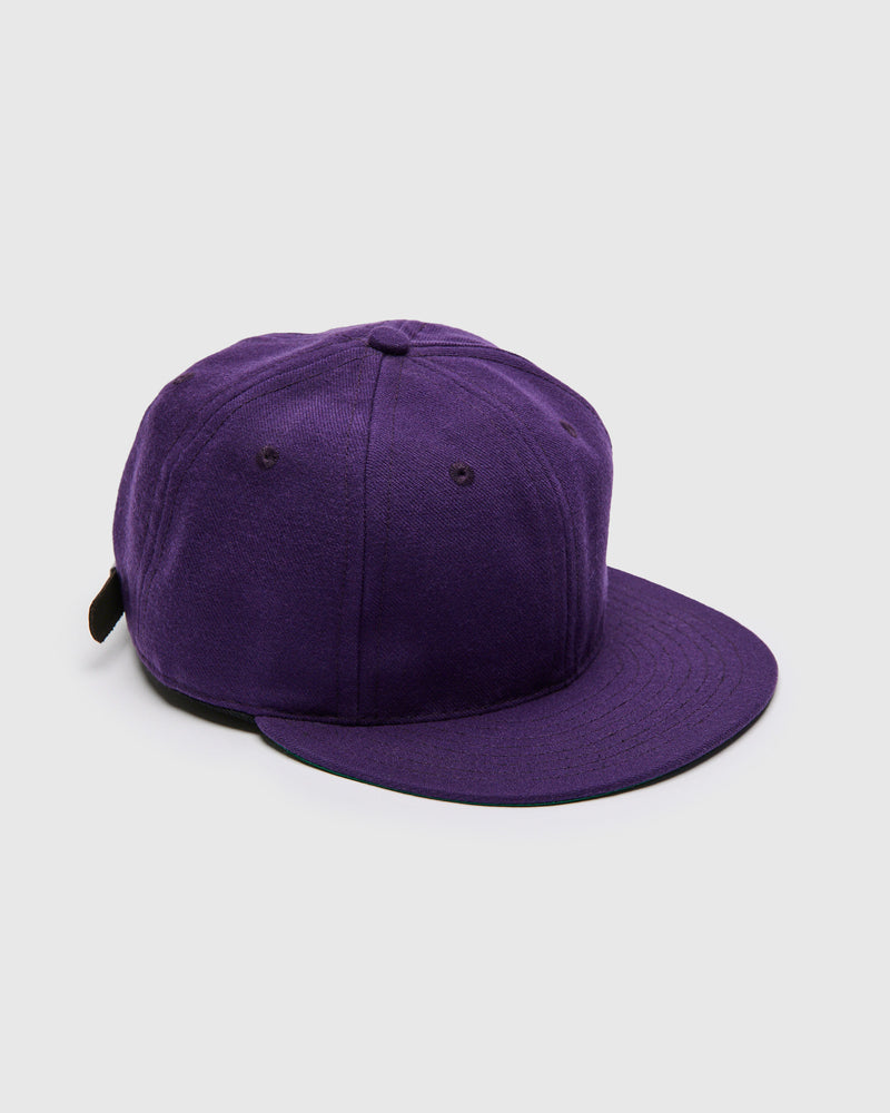 Blue Owl Baseball Cap in Purple
