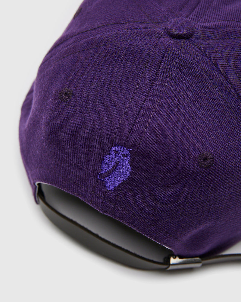 Blue Owl Baseball Cap in Purple
