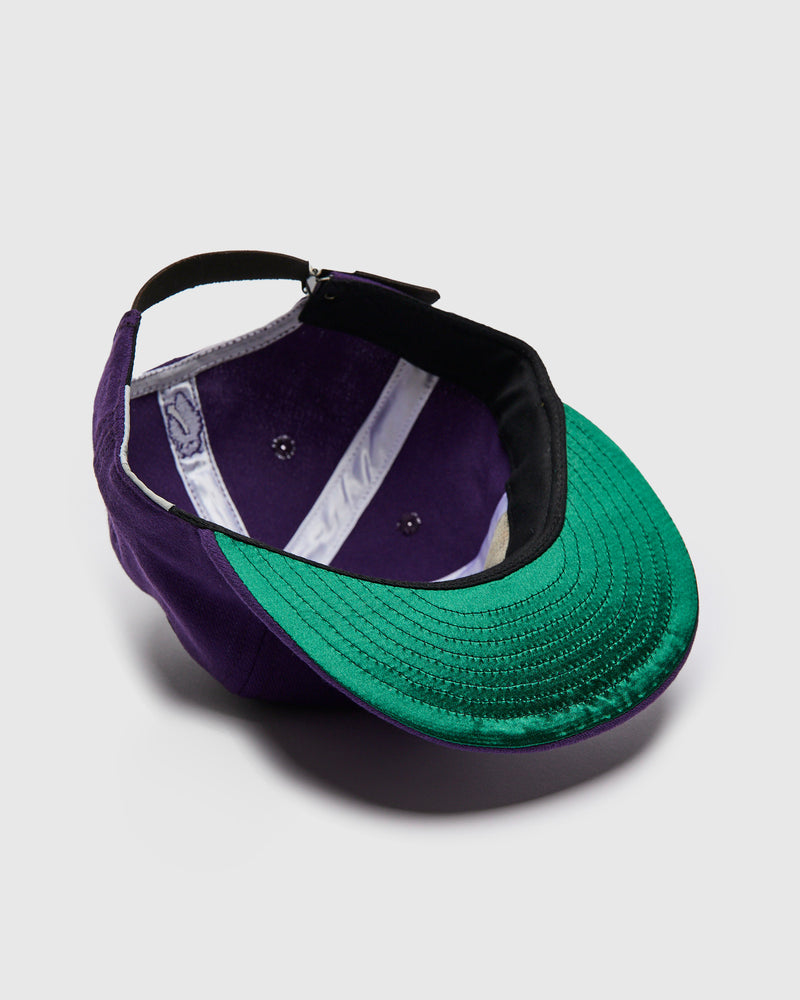 Blue Owl Baseball Cap in Purple