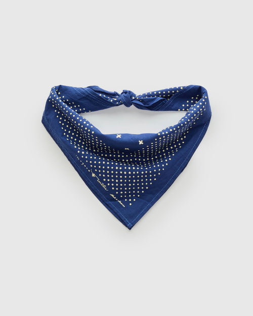 Vintage Bandana in Blue