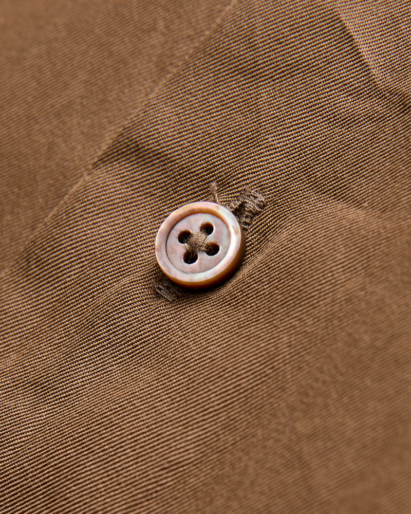 Silk Regular Collared Shirt in Brown