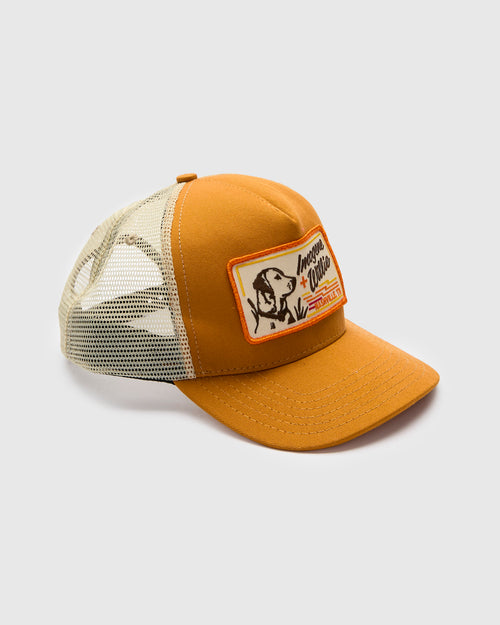 Bird Dog Trucker Cap in Gold