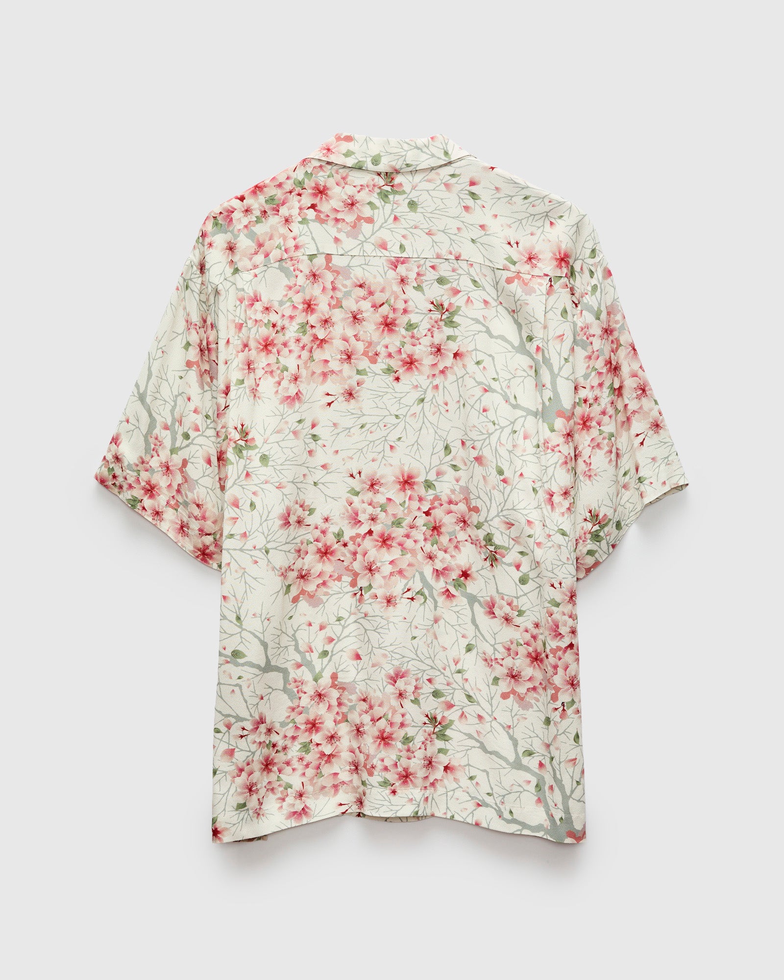 Sakura Kaza