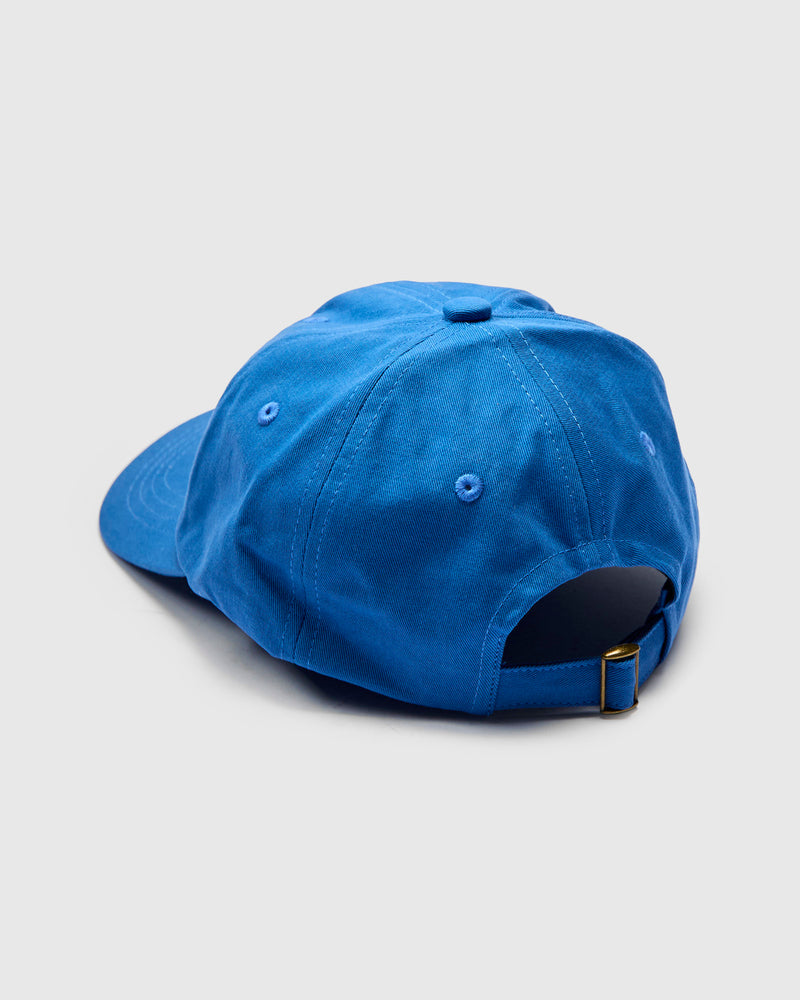 Swan Logo Cotton Twill Cap in Washed Blue
