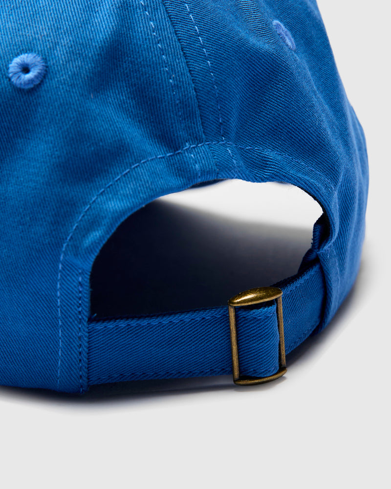 Swan Logo Cotton Twill Cap in Washed Blue