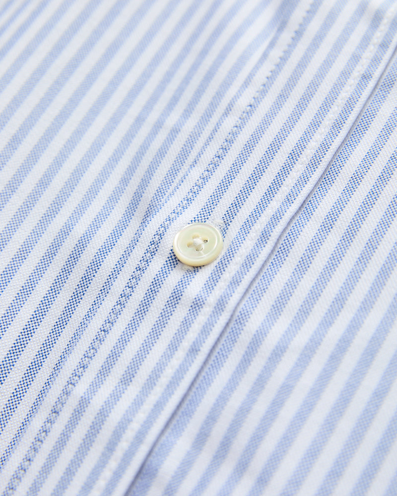 Dogs Oxford Shirt in Blue Stripe