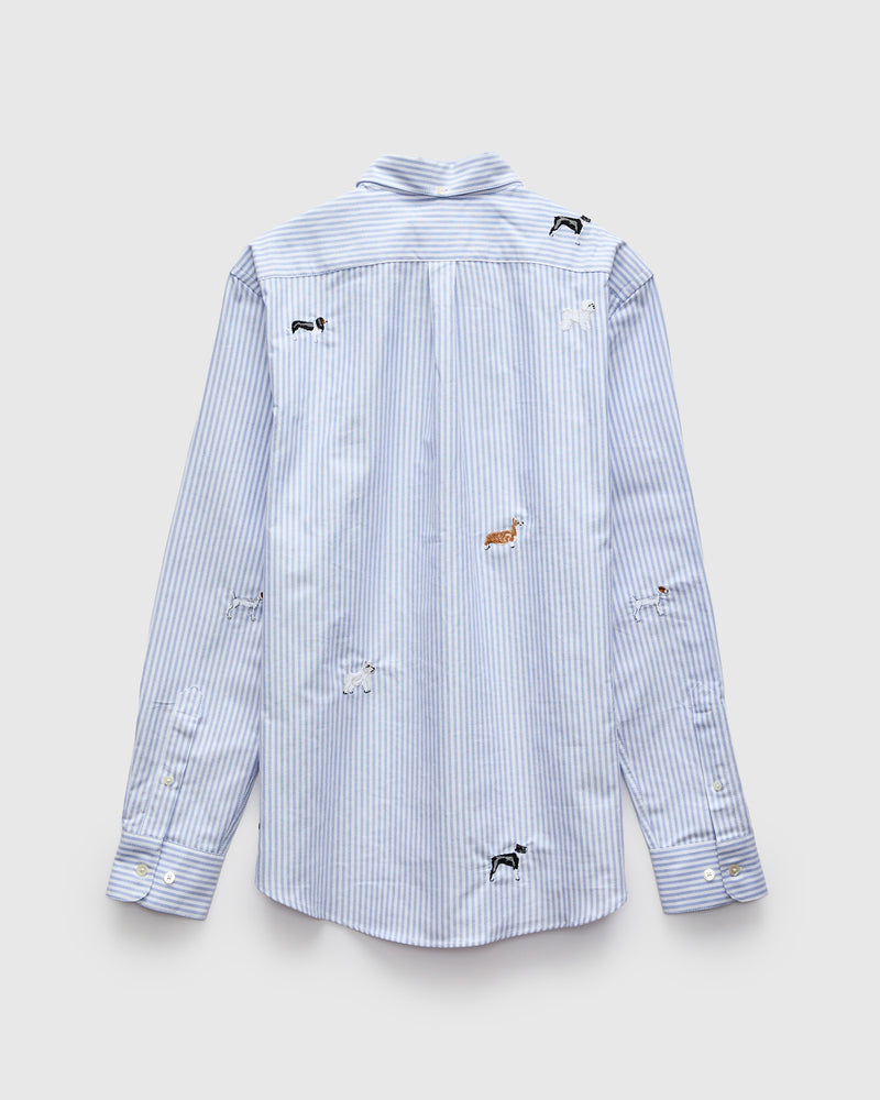 Dogs Oxford Shirt in Blue Stripe