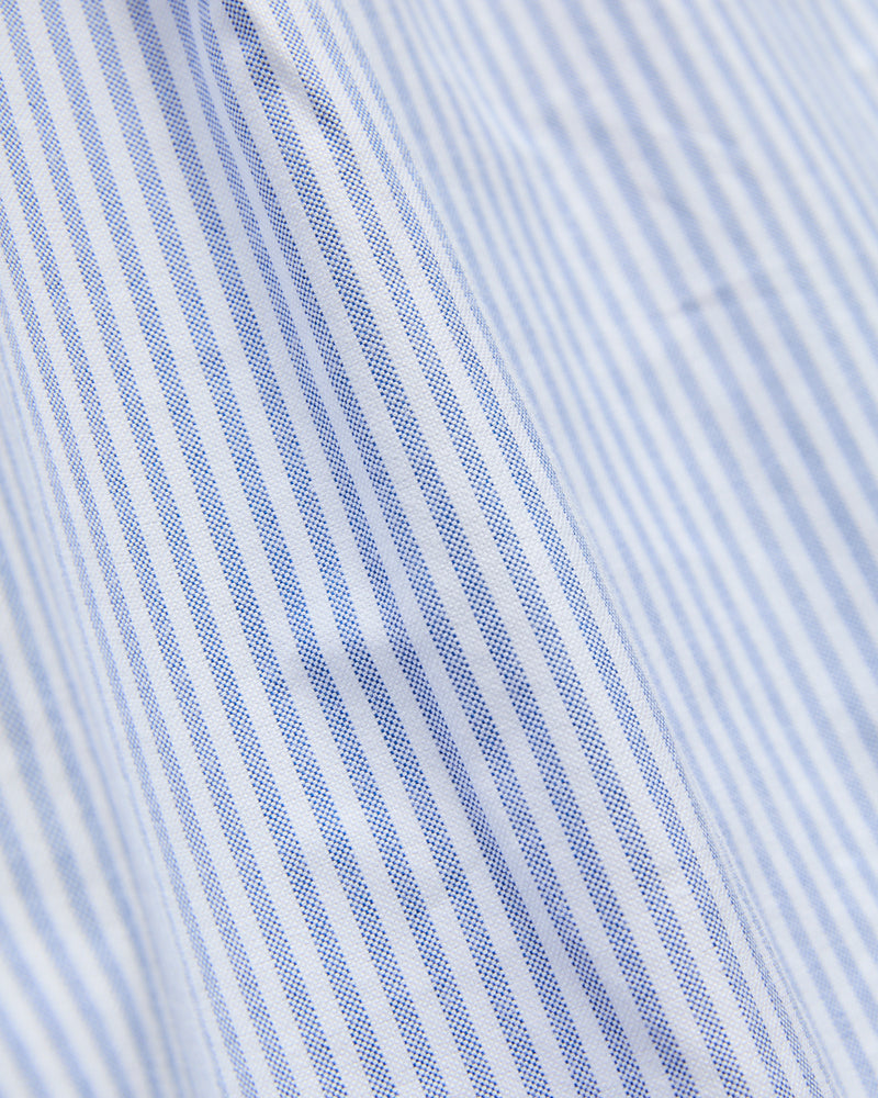 Dogs Oxford Shirt in Blue Stripe