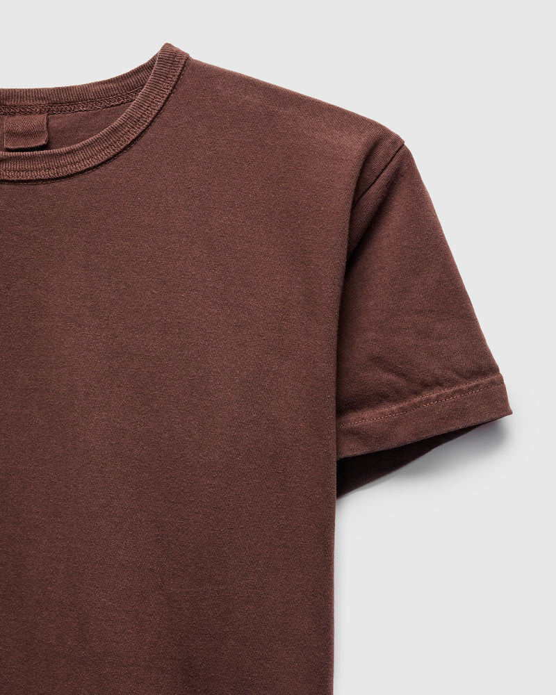 "Natural Dye Pack" Heavyweight T-Shirt in Brown