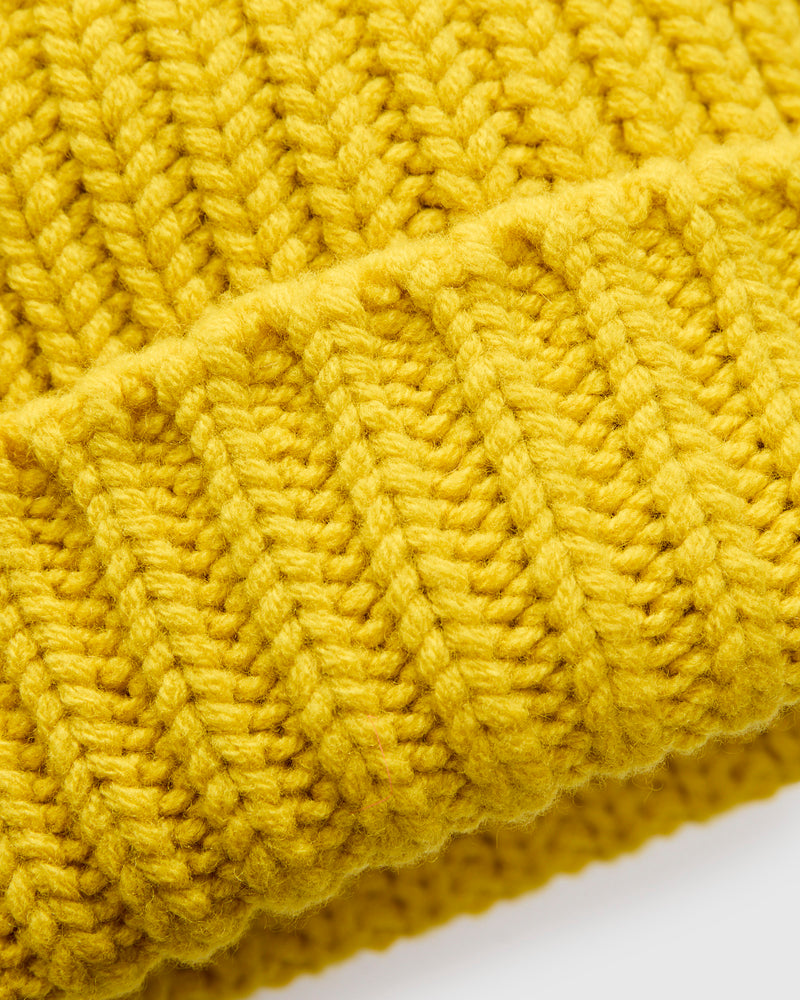 "Brain Freezer" Wool Beanie in Solaris