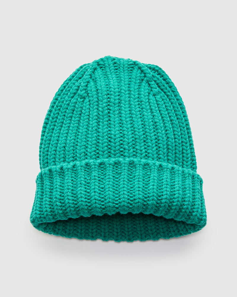 "Brain Freezer" Wool Beanie in Strange Green