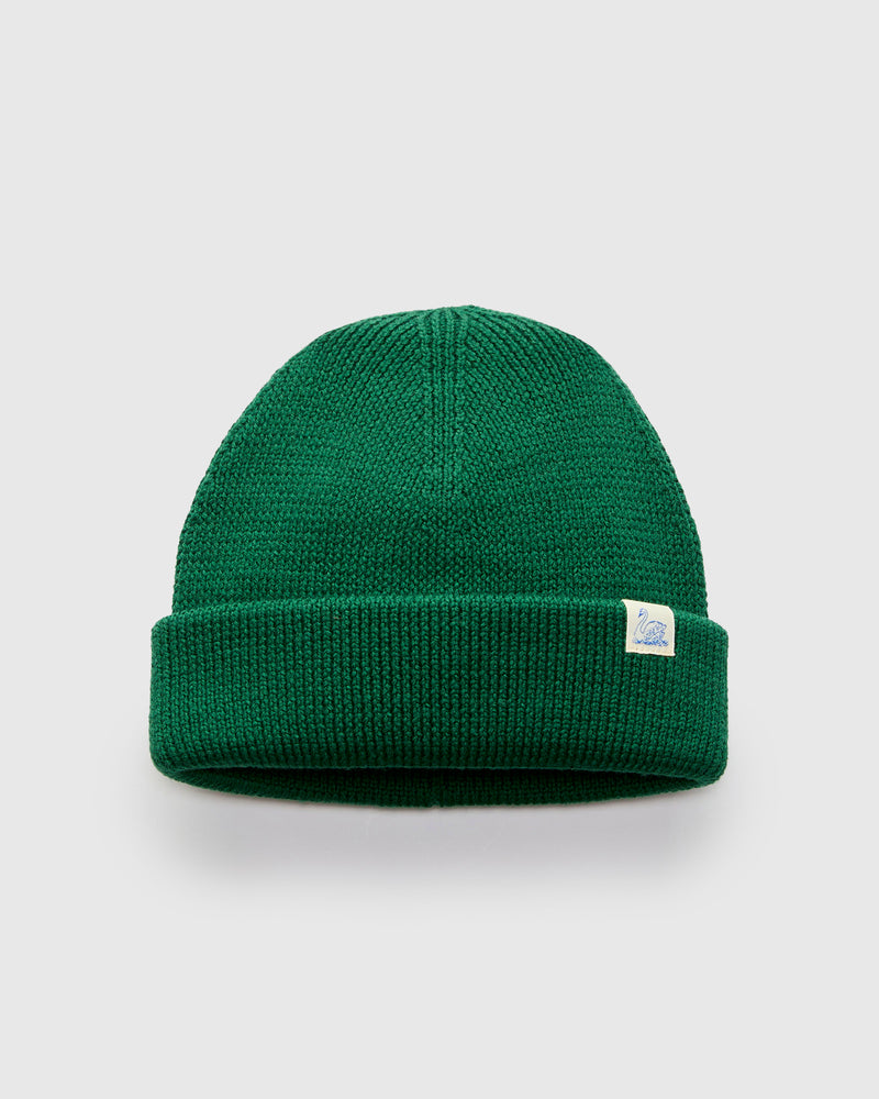 Merino Wool Ribbed Beanie in Moss