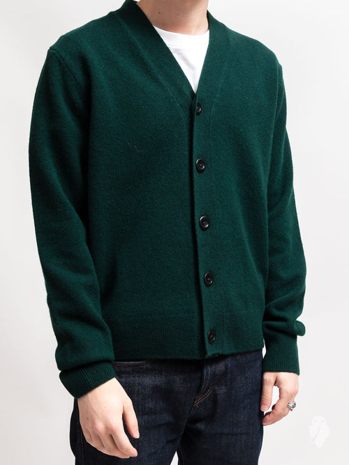 Adam Lambswool Cardigan in Quartz Green