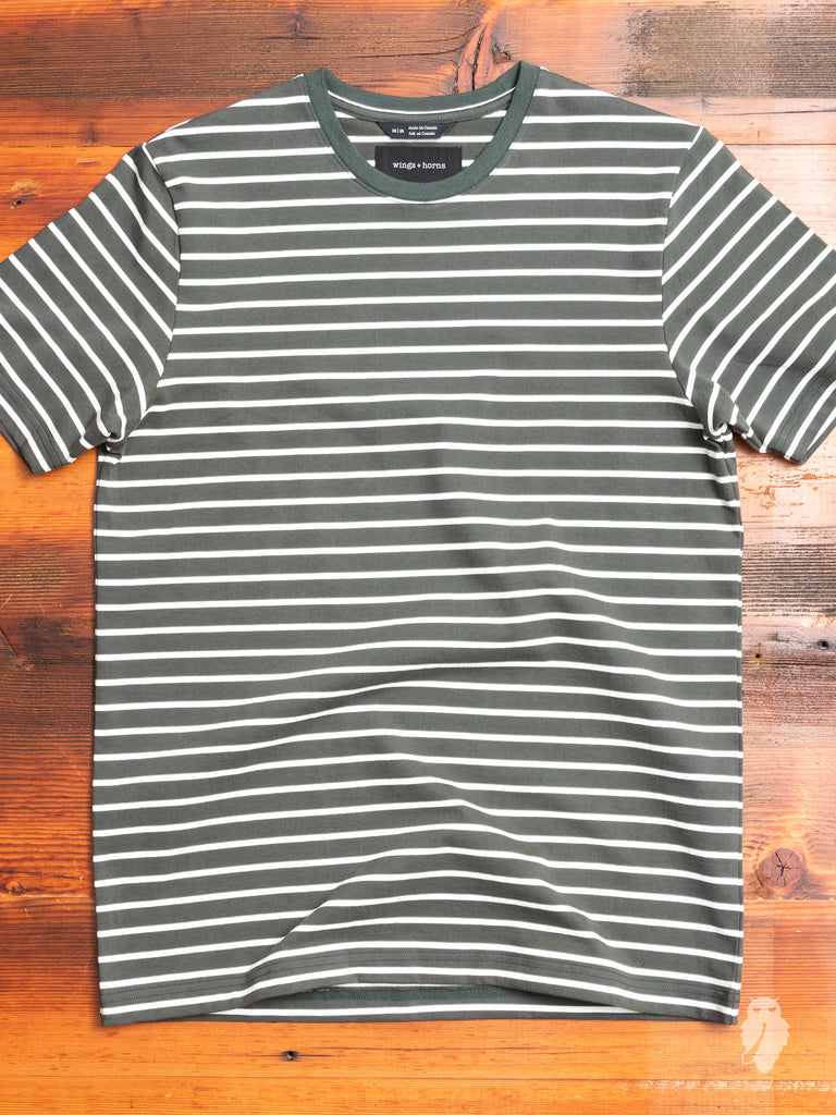 Heavyweight Jersey T-Shirt in Pine Stripe