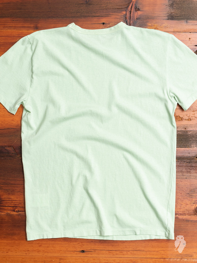 Perfect T-Shirt in Washed Mint