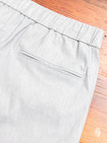 Stretch One Tack Easy Pants in Stone