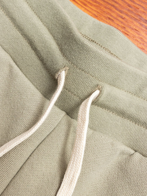 Crimson Shorts in Sage